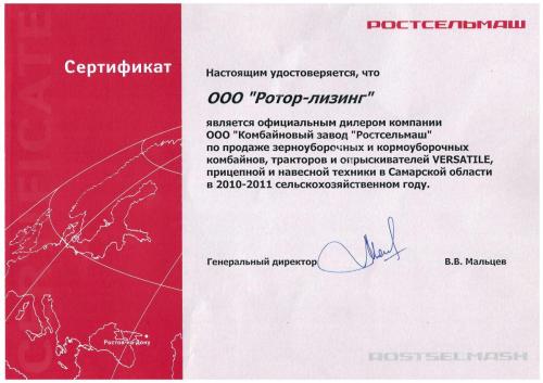2011_rsm