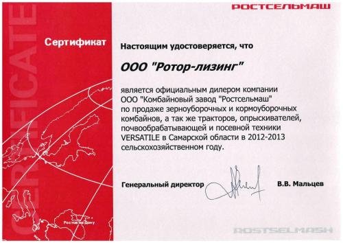 2013_rsm