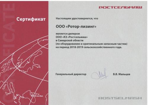 2019_rsm